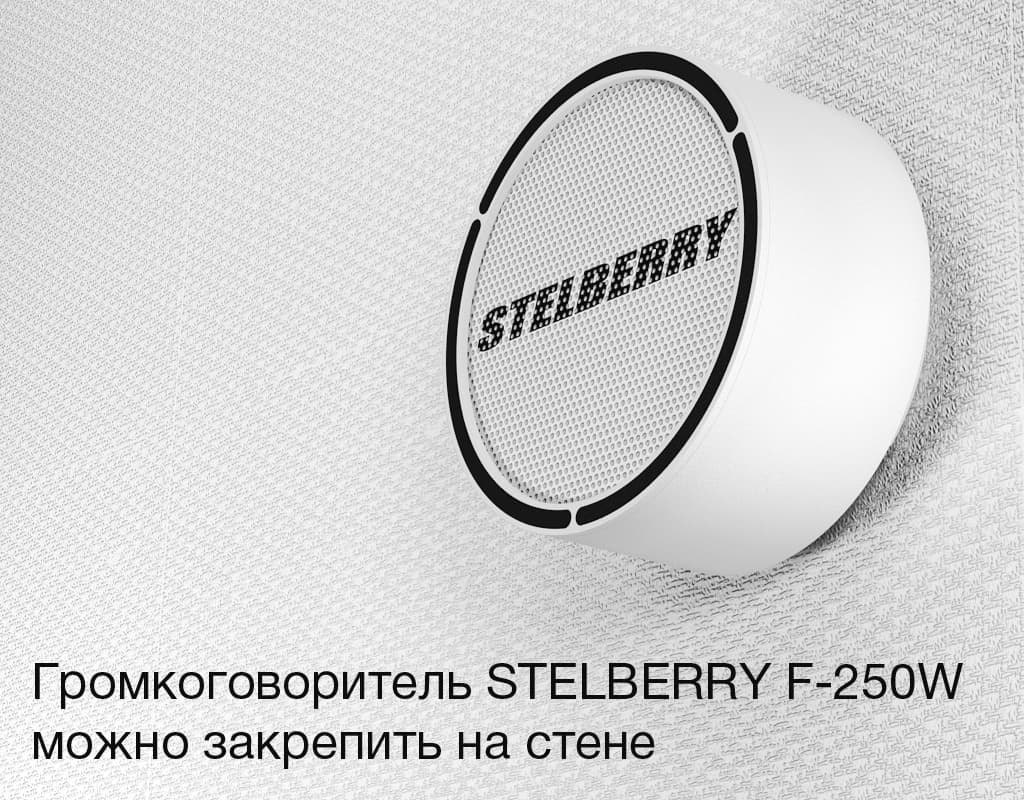 Громкоговоритель STELBERRY F-250W можно расположить на любой стене