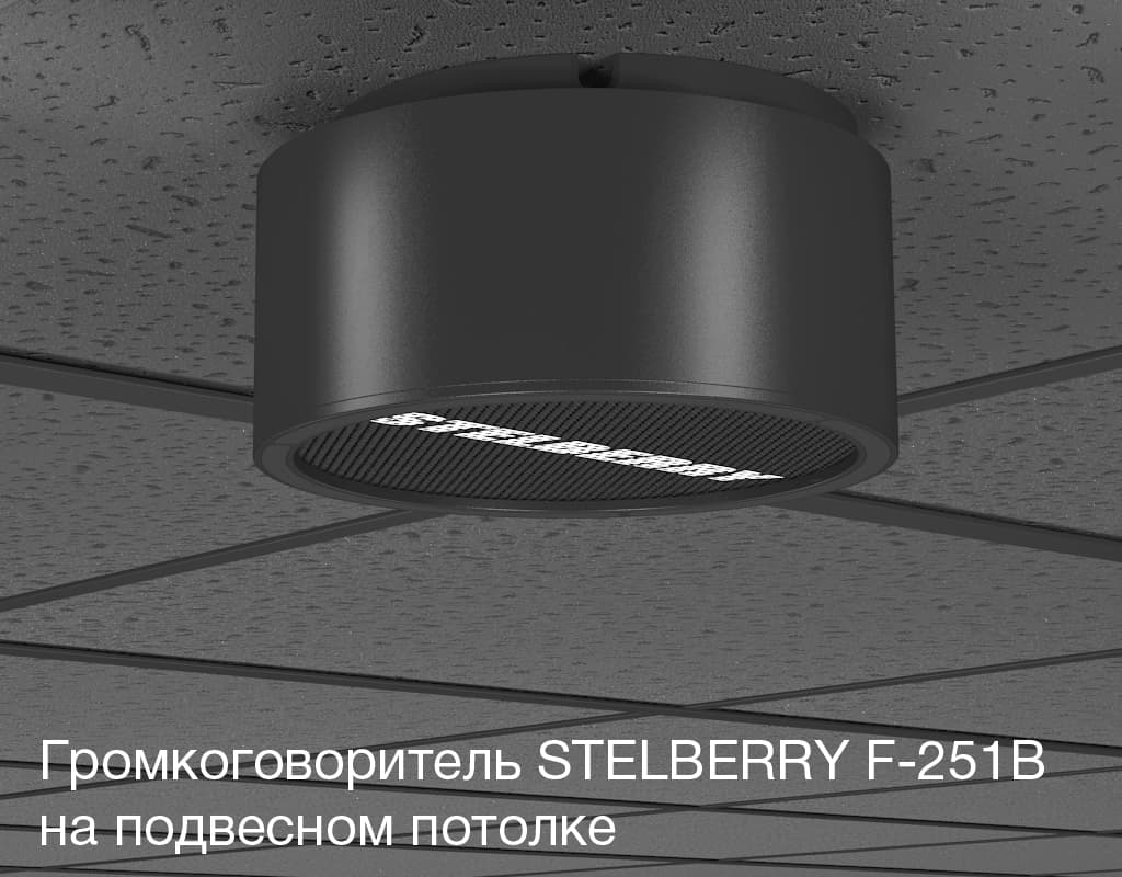 Громкоговоритель для системы оповещения Антитеррор STELBERRY F-251B гармонично смотрится на подвесном потолке