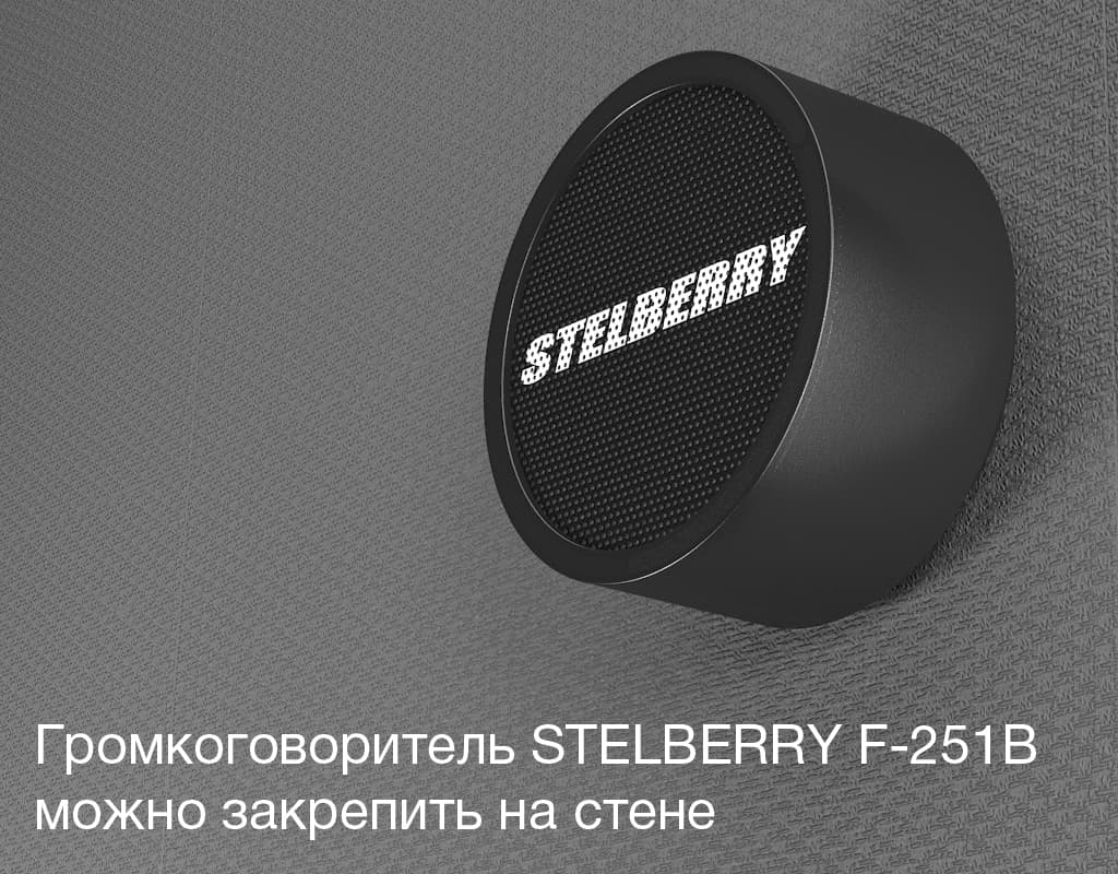 Громкоговоритель STELBERRY F-251B можно расположить на любой стене