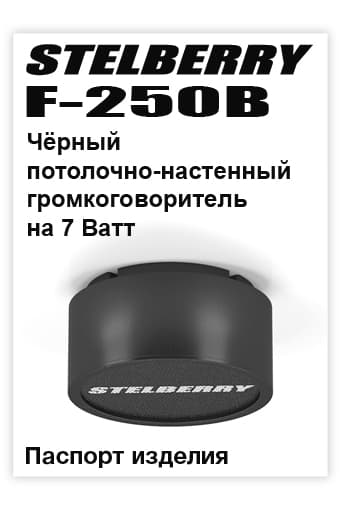СКАЧАТЬ паспорт изделия STELBERRY F-250B